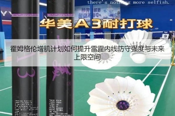 霍姆格伦增肌计划如何提升雷霆内线防守强度与未来上限空间